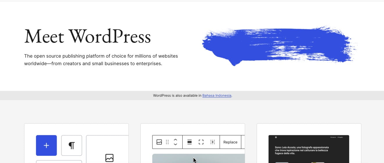 Mengenal WordPress: Platform CMS Terpopuler di Dunia